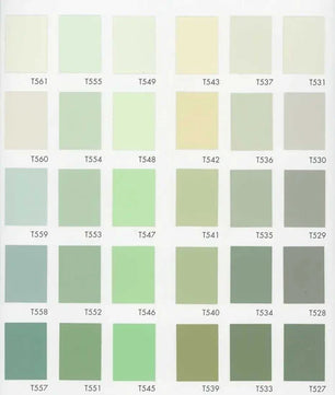 Marmorino Fine - Fine Matte Lime Plaster